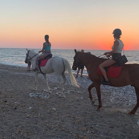 Maison Caroual Erquy 500M De La Plage Екстериор снимка