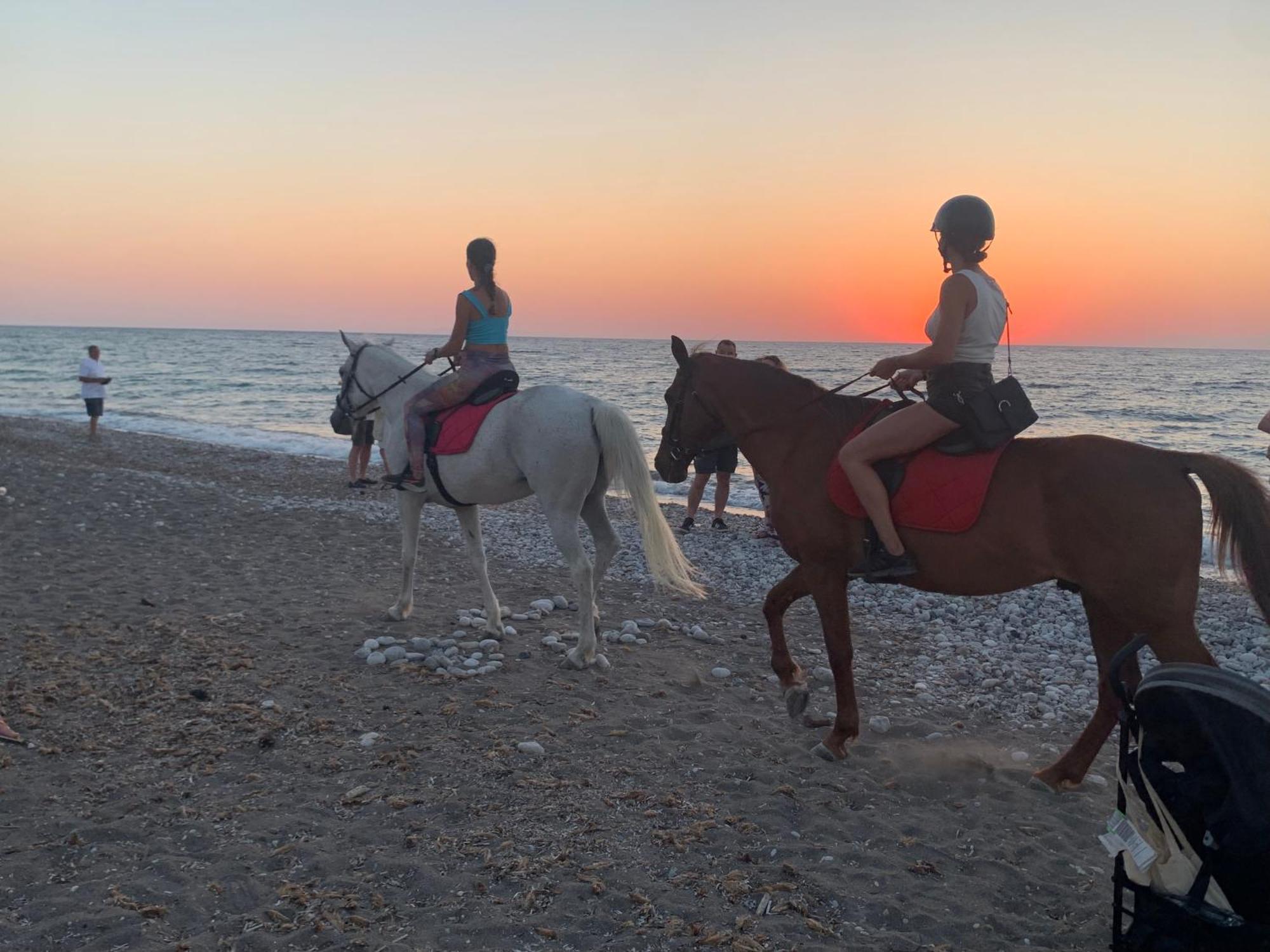 Maison Caroual Erquy 500M De La Plage Екстериор снимка